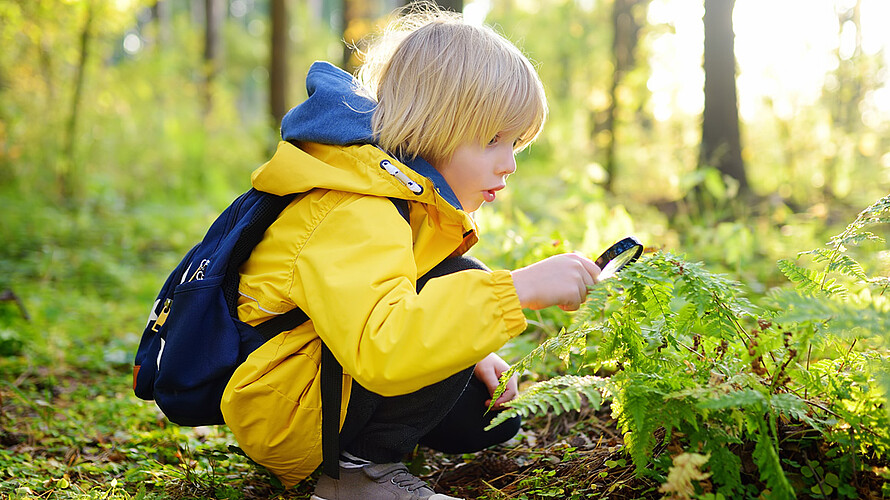 Ein Kind, mit einer gelben Jacke bekleidet, hockt im Wald und betrachtet Pflanzendetails durch eine Lupe.