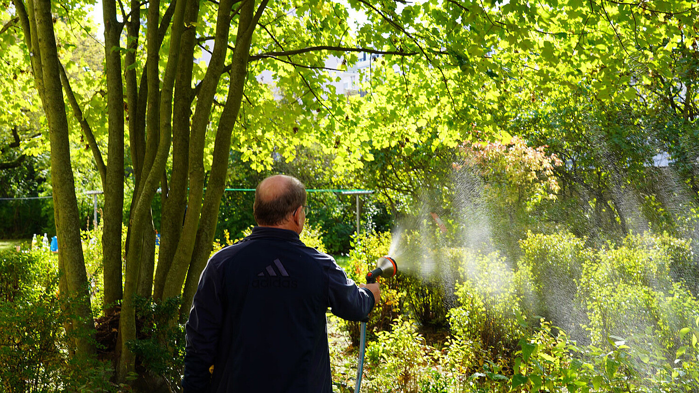 Mieter beim Bewässern einer Hecke