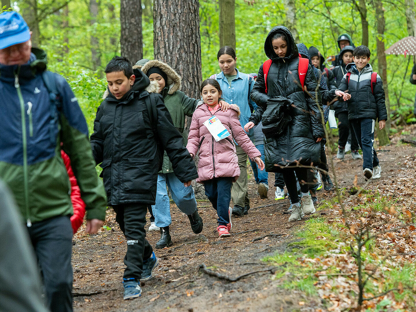 Schüler einer Grundschule spazieren durch den Wald. 