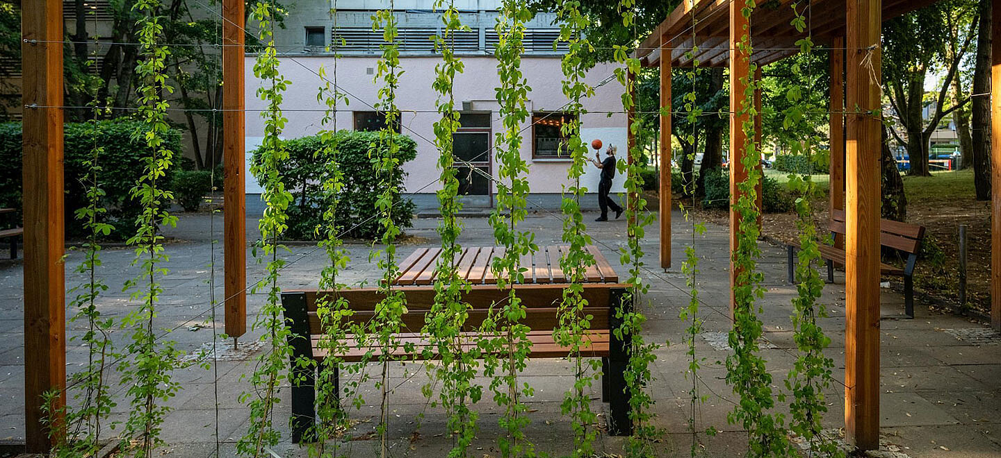 Pergola im Innenhof eines Gebäudes. Ein Mann spielt Basketball im Hintergrund.