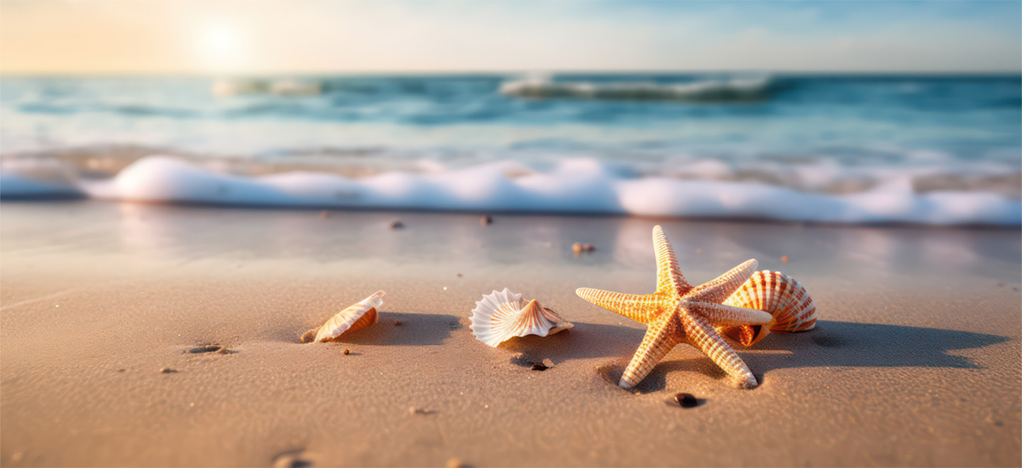 An einem Strand liegen vier Muscheln im Sand. Im Hintergrund sind Wellen zu sehen. Die Sonne geht unter.