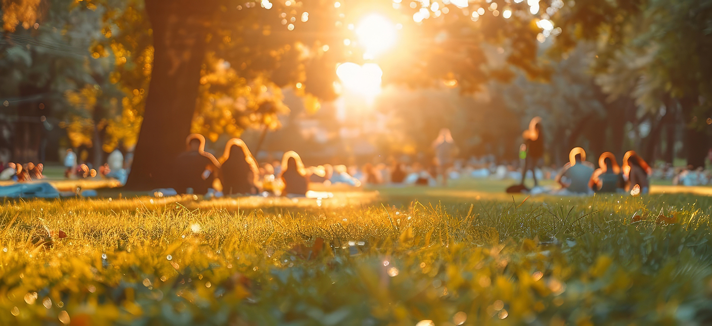 Leute sitzen auf Picknickdecken in einem grünen Park. Es ist Sommer. Die Sonne geht gerade zwischen den Bäumen im Hintergrund unter.